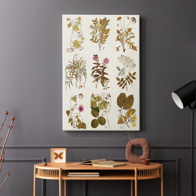 Antique Floral Grid II -Gallery Wrapped Cavas