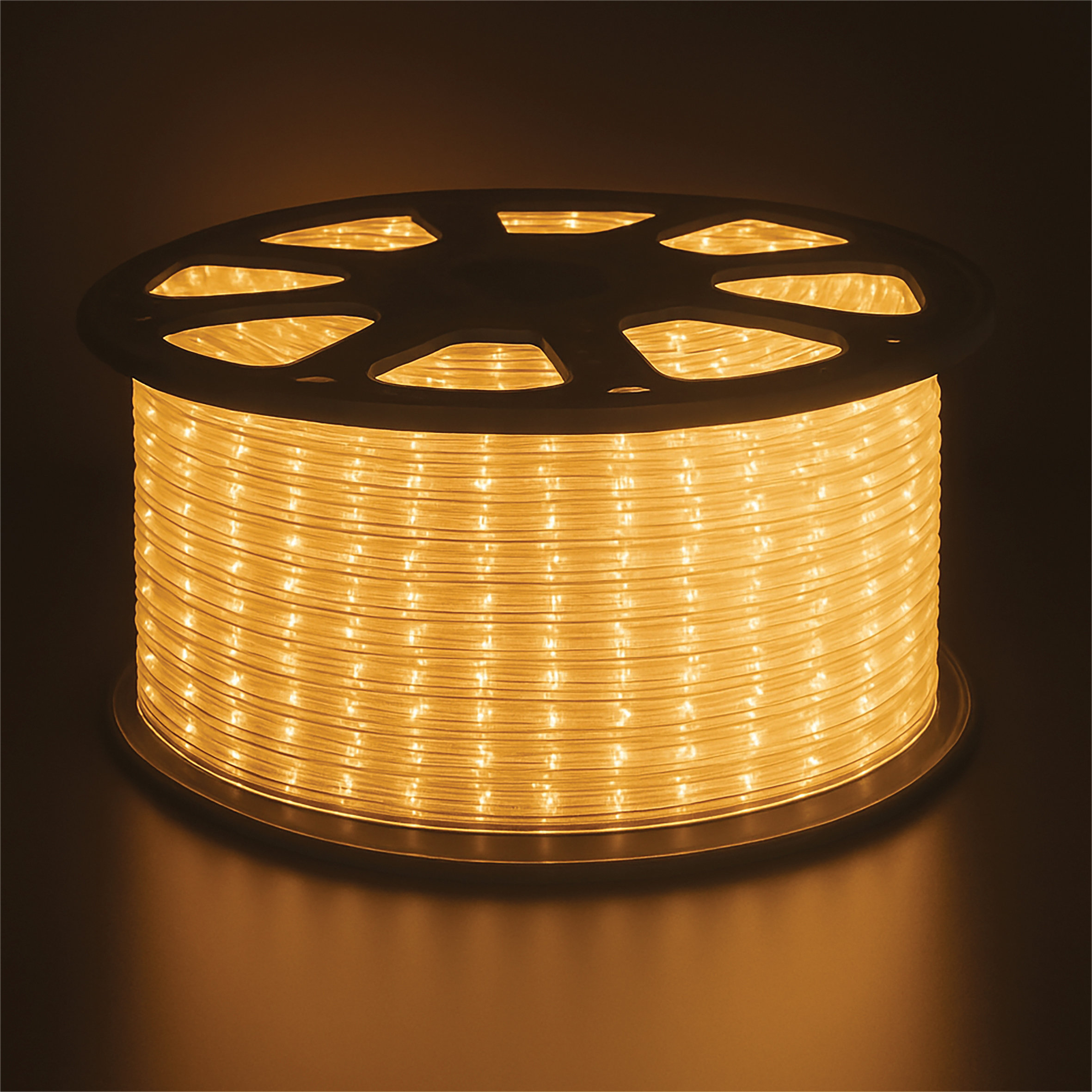 The Seasonal Aisle 13mm Led Connectable rope light 45m | Wayfair.co.uk