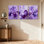 Plantes et fleurs, iris mauve, ensemble de 3 impressions sur toile