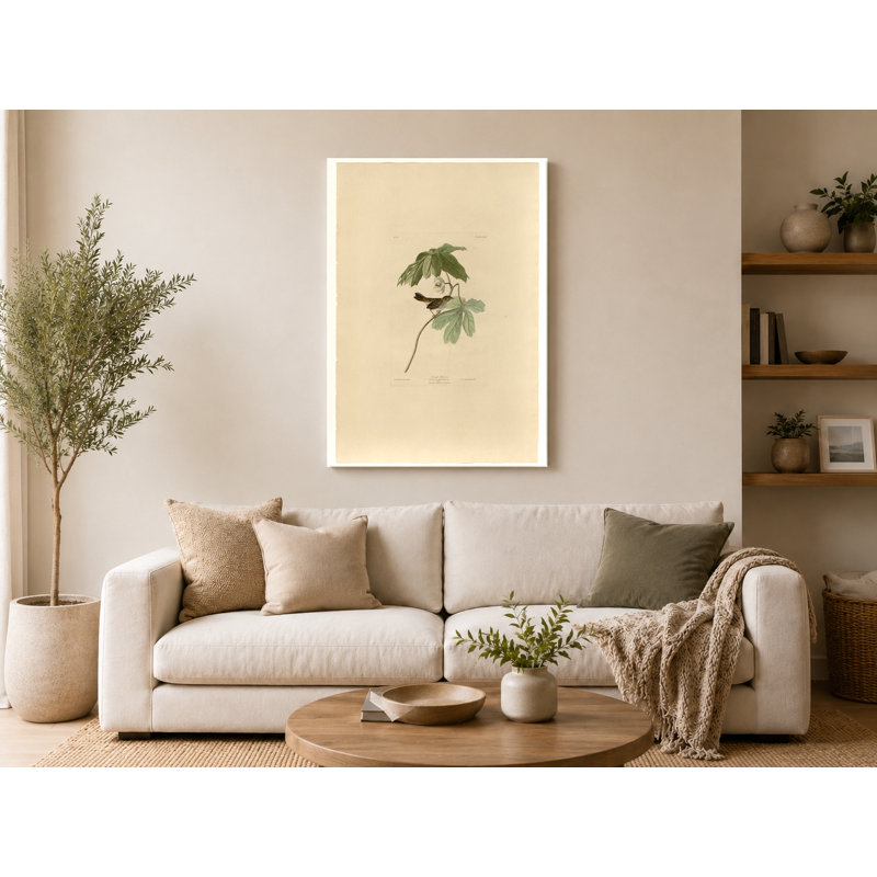 «Swamp Sparrow», plaque LXIV (1831) - Portrait, art mural sur toile, 18" W x 12" H