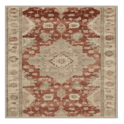 Machine Washable Overdyed Brown Area Rug