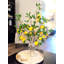 Arrangement de citron dans un vase (6 grandes tiges)