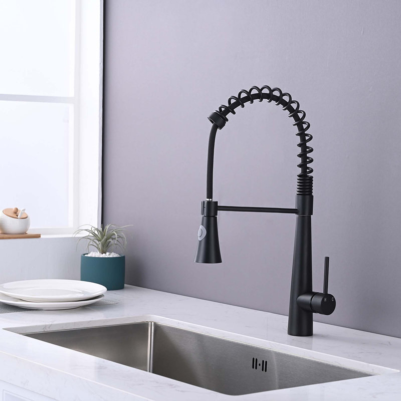 Robinet de cuisine commercial avec pulvérisateur rétractable et tête d'arrosage magnétique