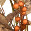 28" Autumn Pine Nut Spray