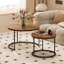 Ensemble de 2 tables basses gigognes