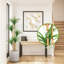 Arbre de dracaena artificiel 5 pi, plante de dracaena réaliste réaliste, grande plante d'intérieur de dracaena pour la décoration intérieure