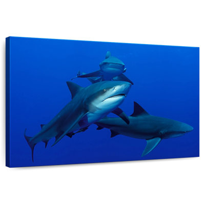 Triple Sharks