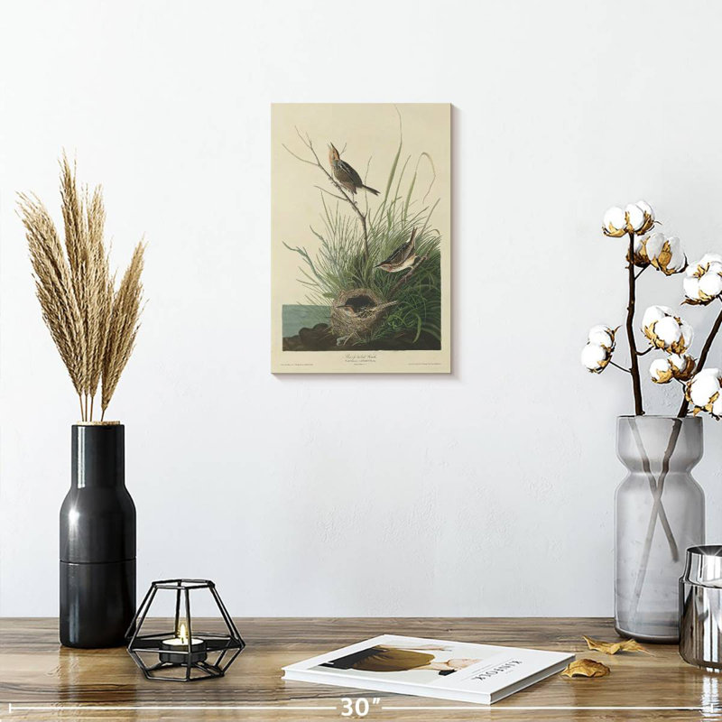 Keiri Sharp-Tailed Finch, 12" H x 8" W