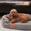 Lit pour chien ovale en mousse à mémoire de forme Tucker Murphy Pet ™, avec doublure imperméable et housse lavable amovible-95781342-95781337