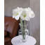 Amaryllis artificiel rouge 19,5 pouces-1479684141