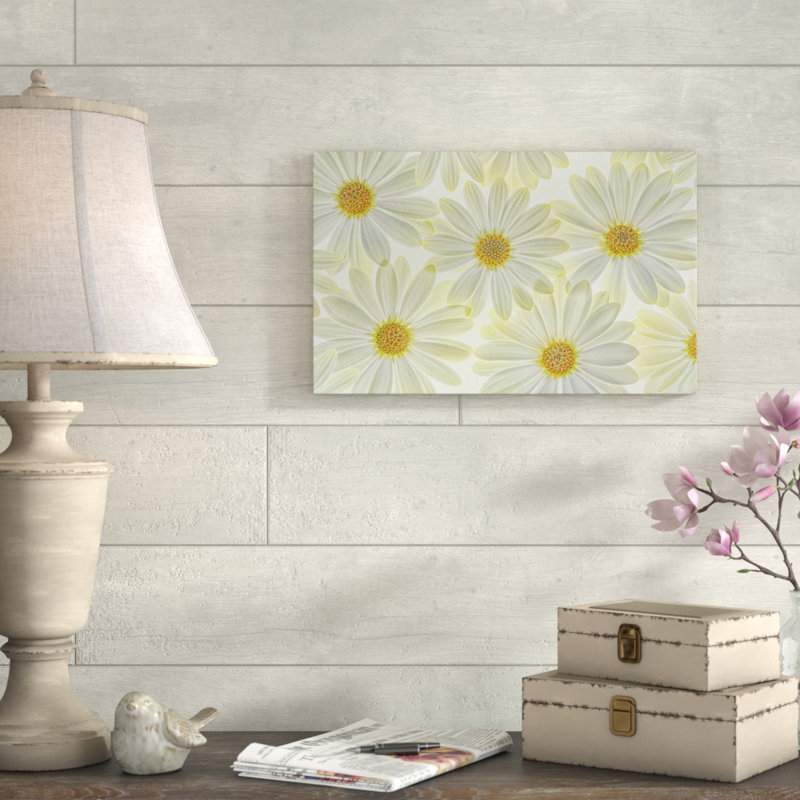 'Daisy Flowers' Photographic Print on Wrapped Canvas, 12" H x 19" W x 2" D