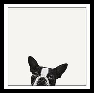 « dog head looking up », impression sur toile encadrée, reproduction d’art sur toile