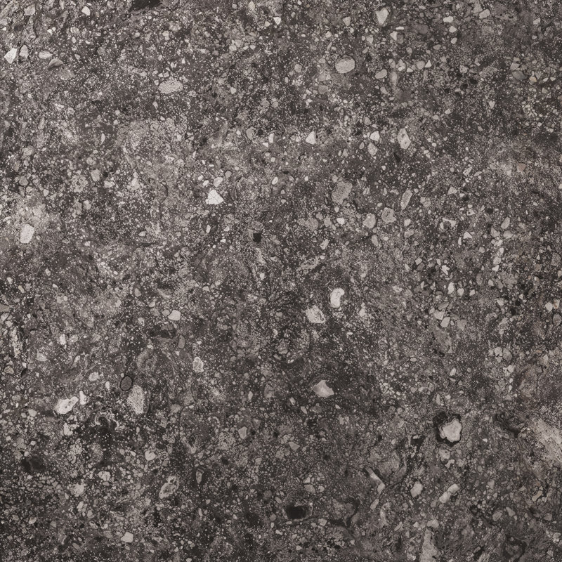 Rizo 48x48 Matte Terrazzo Look Porcelain Tile, Charcoal