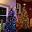 Jasher The Holiday Aisle®-24152148