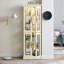 Elegant Curio Cabinet With Spacious Interior And Illuminated Features, Antique White Adjustable Lighting Hue