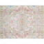 Hand Knotted Wool Oriental Area Rug