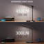 Desk Lamp