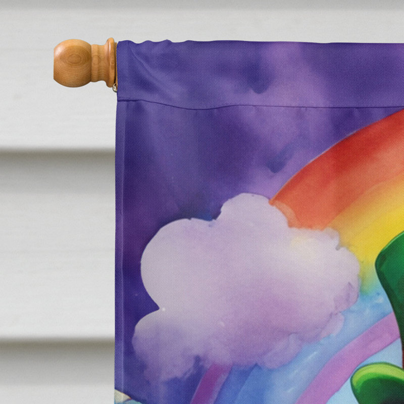 Drapeau double face en polyester H 40 po x l 28 po St Patrick's Day House