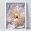 «Pastel White Carnation Flower Wall Art Floral Botanical Prints Decor For Living Room, encadré sur papier»-93487592-93487590