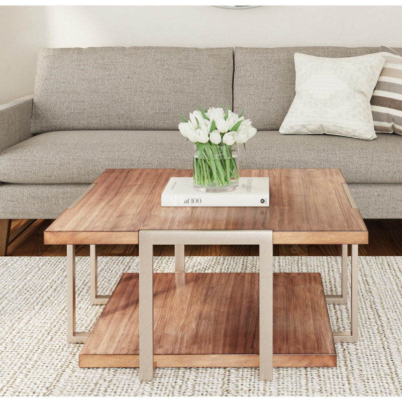 Cerna Solid Coffee Table with Storage