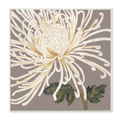 « white chrysanthemum », impression