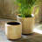 La Boheme Rattan Pot Planter