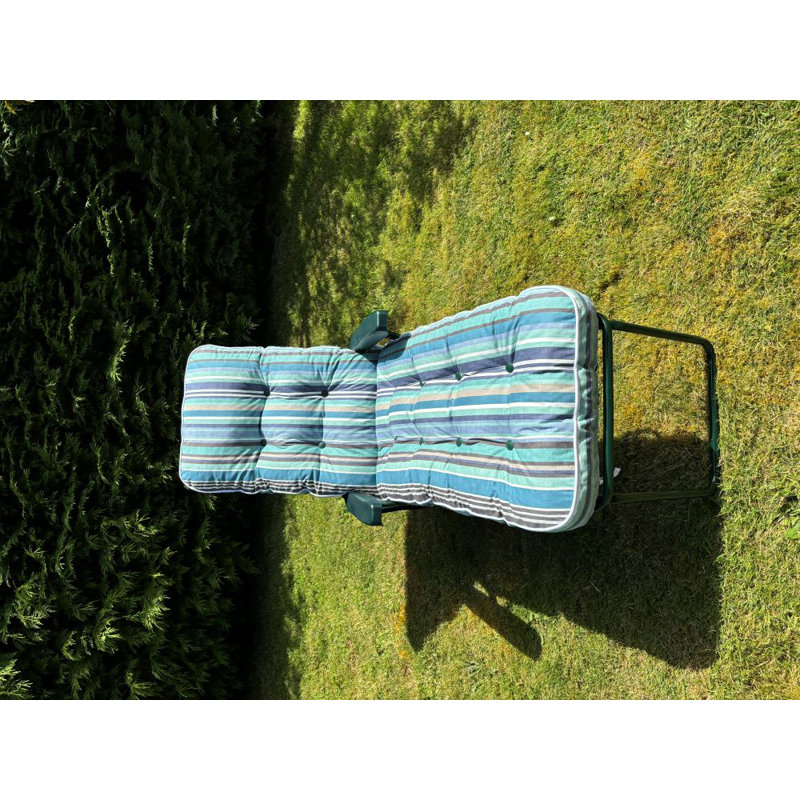 Celinez Steel Outdoor Lounge Chair, Blue, Green