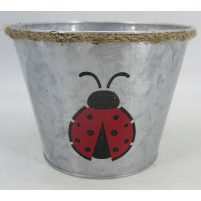 Metal Pot Planter