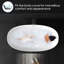 Baignoire de trempage autoportante 51 po. X 27 po. Blanche