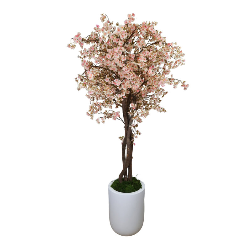 Cherry Blossom Tree in Fiberstone Planter