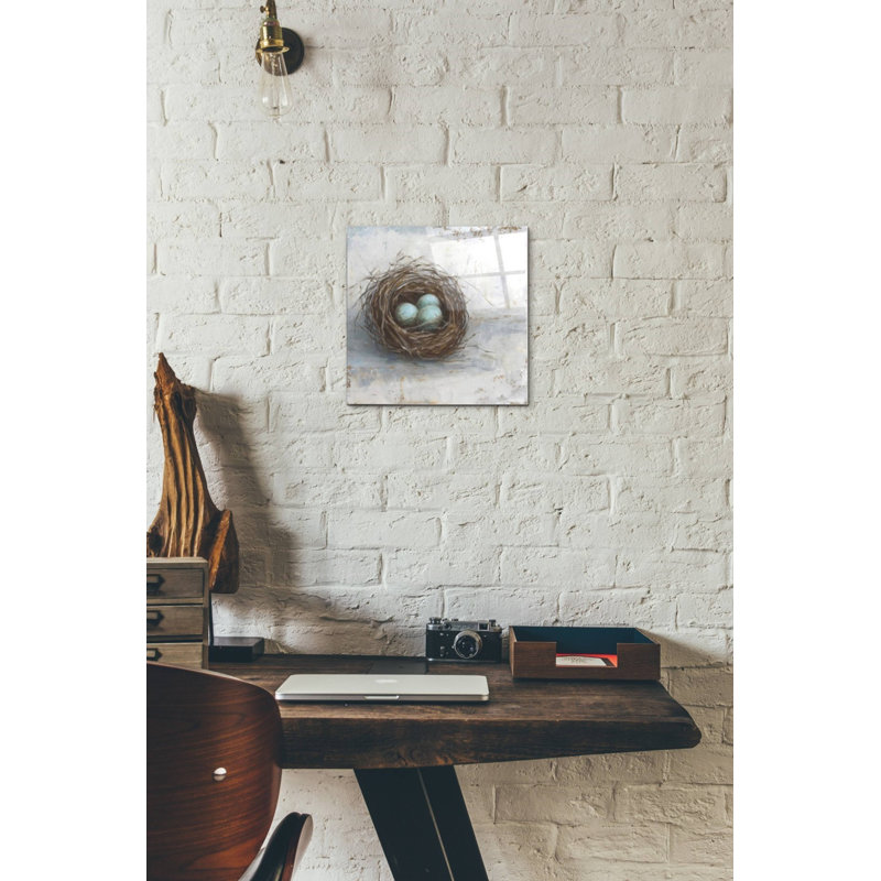 «Rustic Bird Nest I» par Ethan Harper, art mural en verre acrylique, H 12 po x l 12 po x P 0,12 po