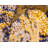 Eddins Washable Oriental Indoor Rug-1668933936