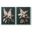 Série FLORAL CLVI - reproduction encadrée de qualité supérieure - prête à être accrochée - aucun clou requis - aucun clou requis-107998886-107998879