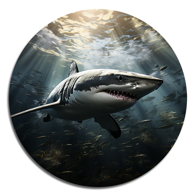 Grey Shark The Majesty - Animals Round Metal Art, 16" H x 16" W