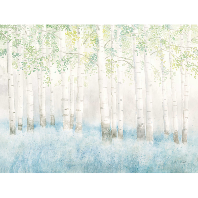 «Soft Birches» par James Wiens - reproduction sur toile, H 36 po x l 48 po