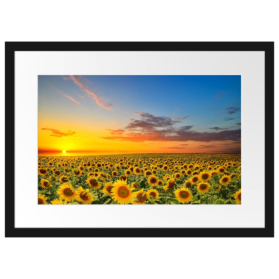 Gerahmtes Poster Sonnenuntergang Sonnenblumen