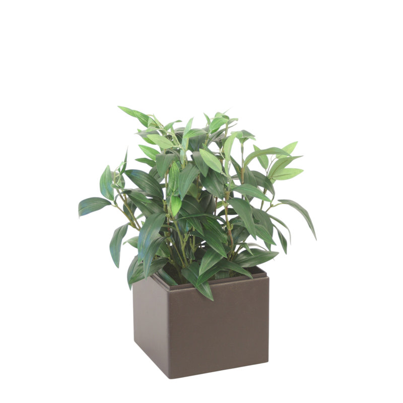 Boîte à fleurs brun foncé Ruscus