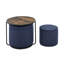 Ensemble de repose-pieds et de table multifonctionnels avec tabouret tambour et rangement Loegan-110570794