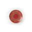 Ensemble de vaisselle en céramique Elegant (24 pièces) - rouge et or | 100% céramique antibactérienne, résistante à l'eau | Comprend 6 assiettes de service (10,2 po), 6 assiettes plates (7,5 po), 6 bols (4,7 po), 6 assiettes à dessert (7,9 po) | Facile à nettoyer, va au lave-vaisselle jusqu'à 122 ° F