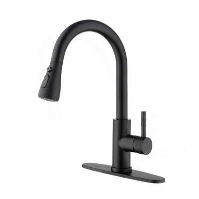 Kitchen Faucet With Pull Out Spraye