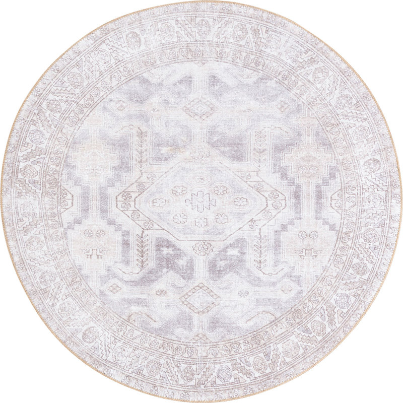 Mcclamma Chenille Oriental Indoor Rug, Round 5'