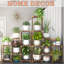 Support pour plante Syma-22408185