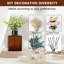 Ensemble de distributeur de savon Modern Kitchen