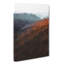 Road Through An Autumn Forest In Abstract - Wrapped Canvas-55341426