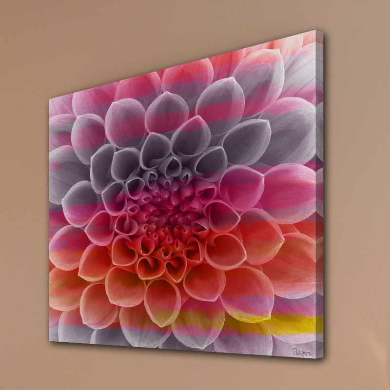 Parvez Taj - Wrapped Canvas Print, 81cm H x 81cm W
