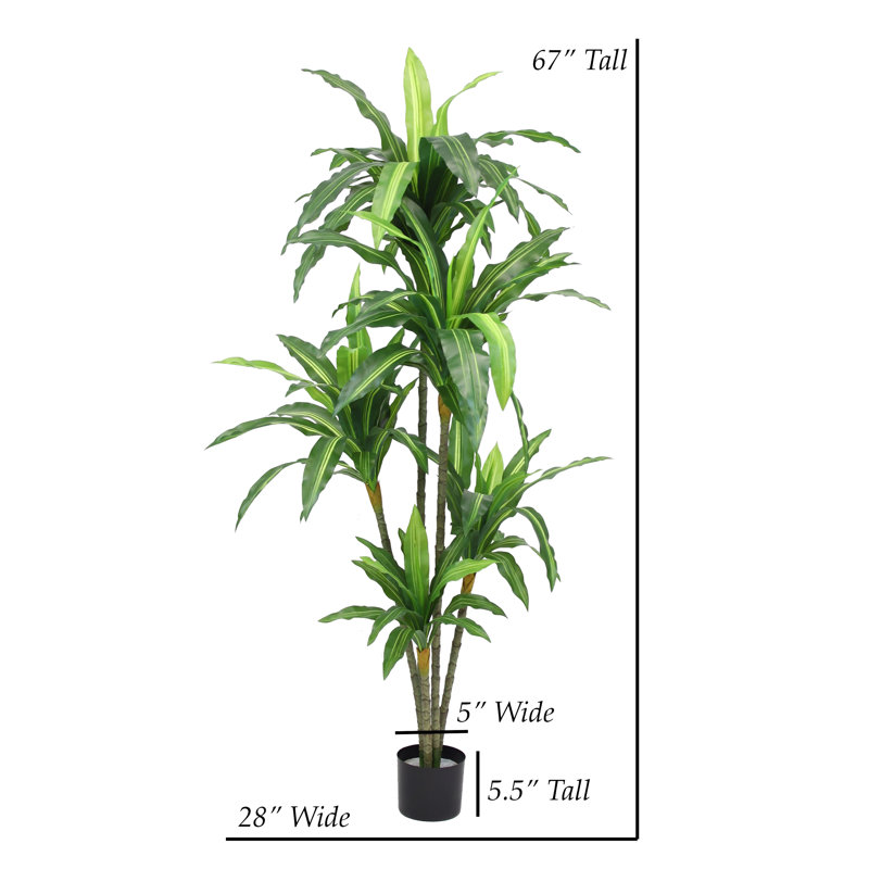 67'' Faux Dracaena Plant in Planter