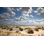 Un paysage de dune de plage pendant la journée par Skeijzer