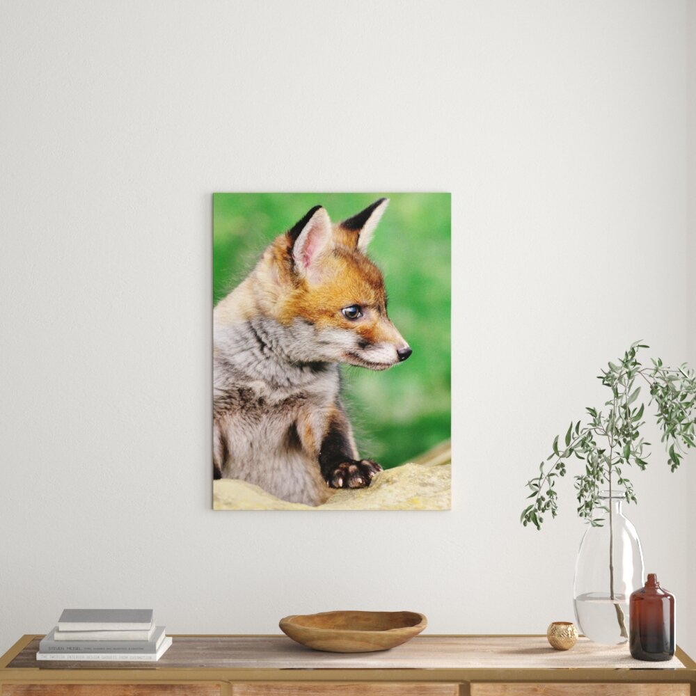 Leinwandbild Kleiner Fuchs