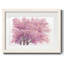 Cerisier rose I-507259685-507259688