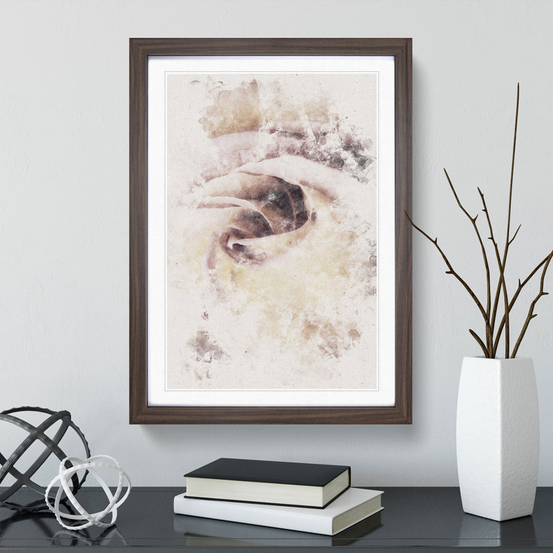 Pale Pink Rose - Framed Print, 33cm H x 24cm W x 2cm D, Walnut Framed